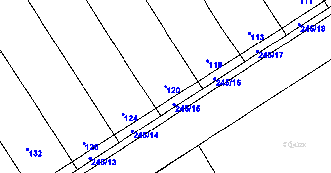Parcela st. 120 v KÚ Těšov, Katastrální mapa