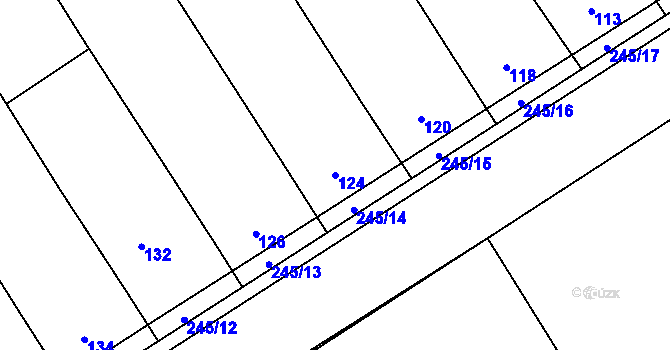 Parcela st. 124 v KÚ Těšov, Katastrální mapa