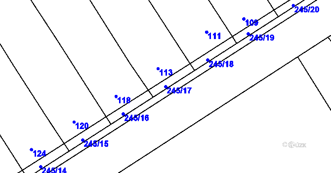 Parcela st. 245/17 v KÚ Těšov, Katastrální mapa