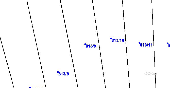 Parcela st. 813/9 v KÚ Těšovice u Prachatic, Katastrální mapa
