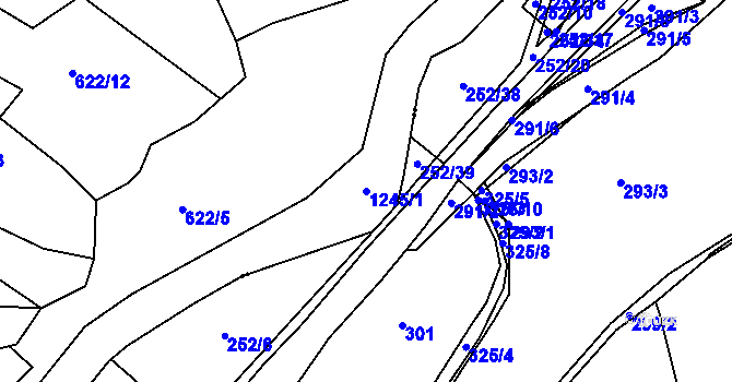 Parcela st. 1245/1 v KÚ Těšovice u Prachatic, Katastrální mapa