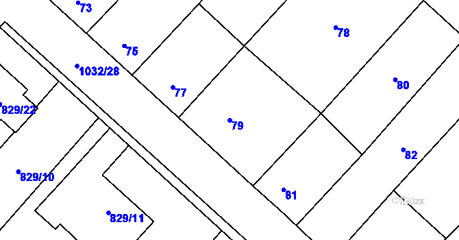 Parcela st. 79 v KÚ Tetčice, Katastrální mapa