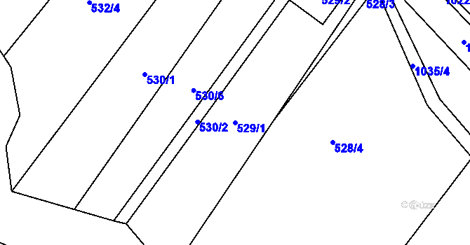 Parcela st. 529/1 v KÚ Tetčice, Katastrální mapa