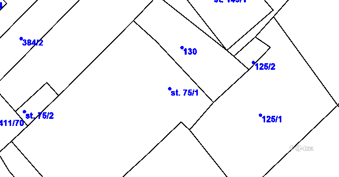 Parcela st. 75/1 v KÚ Tis u Habrů, Katastrální mapa