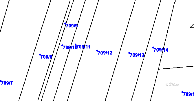 Parcela st. 709/12 v KÚ Tis u Habrů, Katastrální mapa
