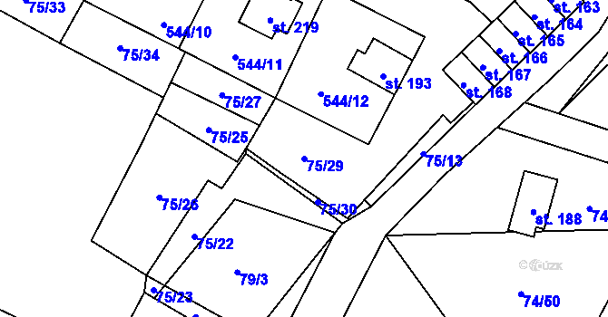 Parcela st. 75/29 v KÚ Tis u Blatna, Katastrální mapa