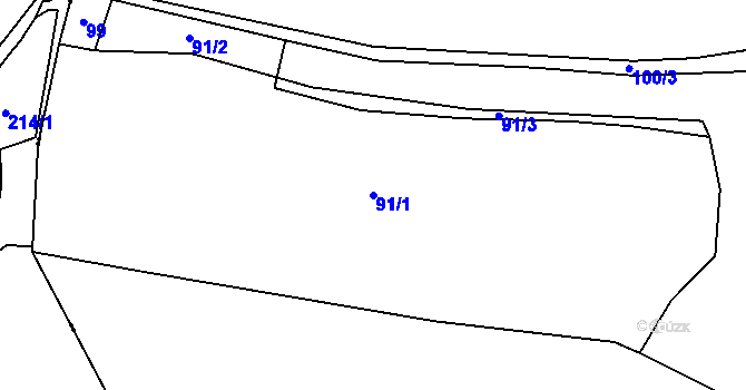 Parcela st. 91/1 v KÚ Jemnice u Tisové, Katastrální mapa