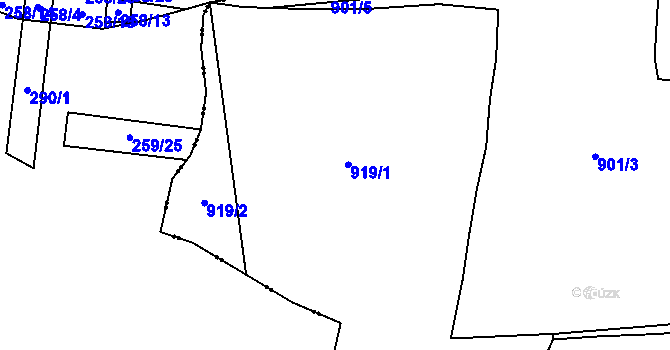 Parcela st. 919 v KÚ Jemnice u Tisové, Katastrální mapa