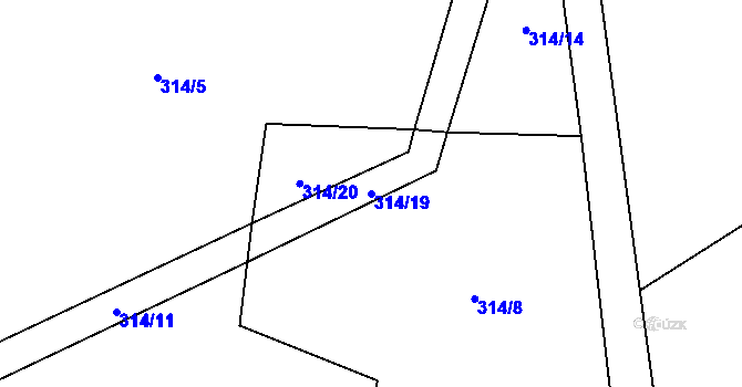 Parcela st. 314/19 v KÚ Jemnice u Tisové, Katastrální mapa