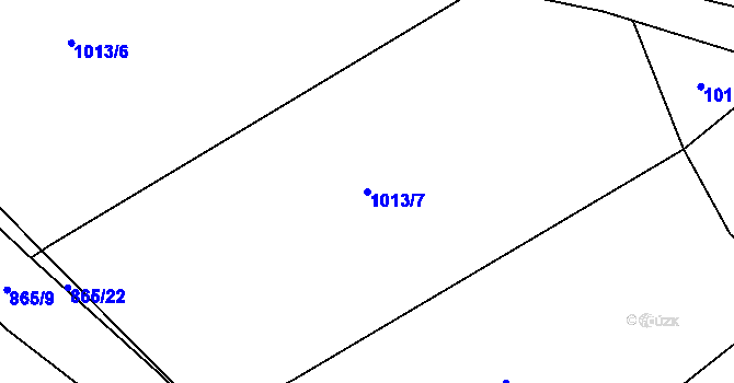 Parcela st. 1013/7 v KÚ Tisová u Tachova, Katastrální mapa