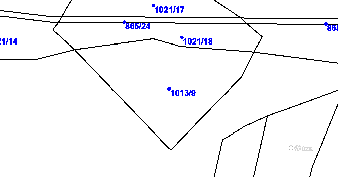 Parcela st. 1013/9 v KÚ Tisová u Tachova, Katastrální mapa