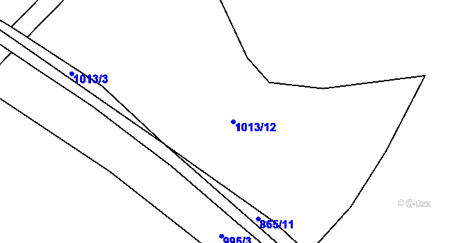 Parcela st. 1013/12 v KÚ Tisová u Tachova, Katastrální mapa