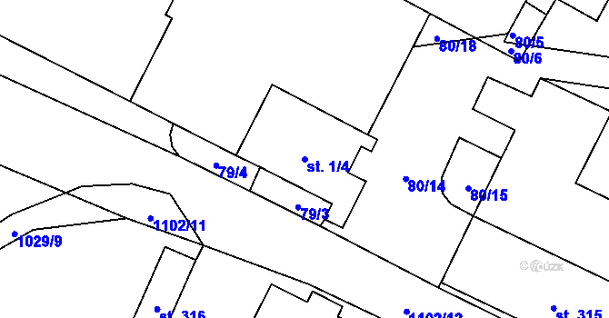 Parcela st. 1/4 v KÚ Tisová u Vysokého Mýta, Katastrální mapa