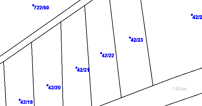 Parcela st. 42/22 v KÚ Kozly u Tišic, Katastrální mapa