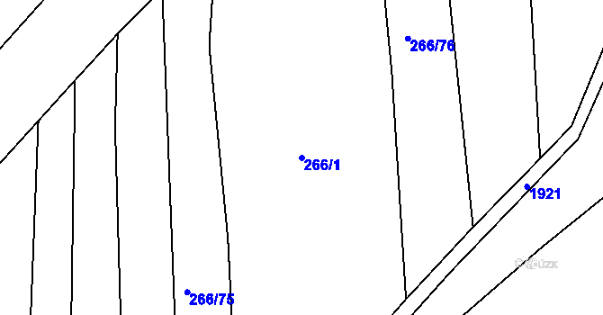 Parcela st. 266/1 v KÚ Tlumačov u Domažlic, Katastrální mapa