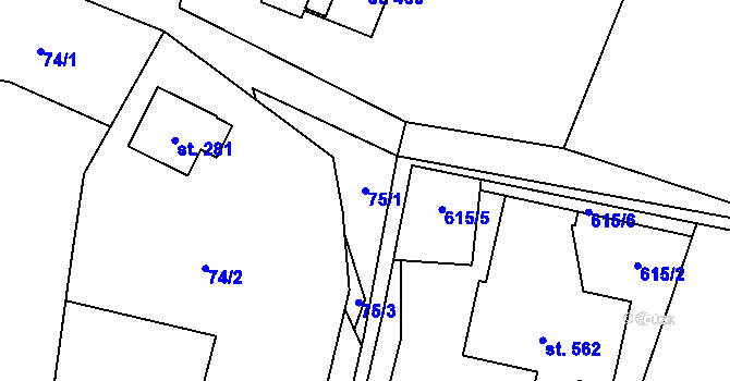 Parcela st. 75/1 v KÚ Tmaň, Katastrální mapa