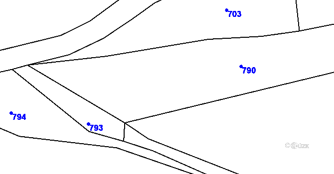 Parcela st. 195/1 v KÚ Tmaň, Katastrální mapa