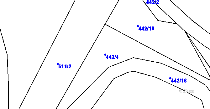 Parcela st. 442/4 v KÚ Tomice u Votic, Katastrální mapa