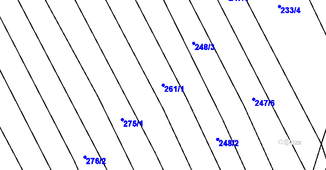 Parcela st. 261/1 v KÚ Topolná, Katastrální mapa