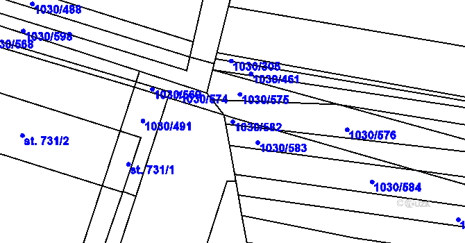 Parcela st. 1030/582 v KÚ Topolná, Katastrální mapa