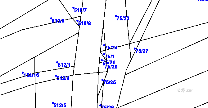 Parcela st. 75/1 v KÚ Toužetín, Katastrální mapa