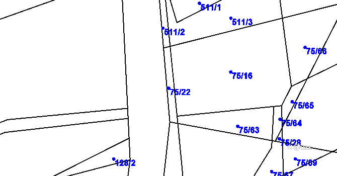 Parcela st. 75/22 v KÚ Toužetín, Katastrální mapa