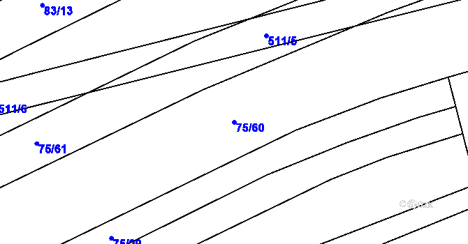 Parcela st. 75/60 v KÚ Toužetín, Katastrální mapa