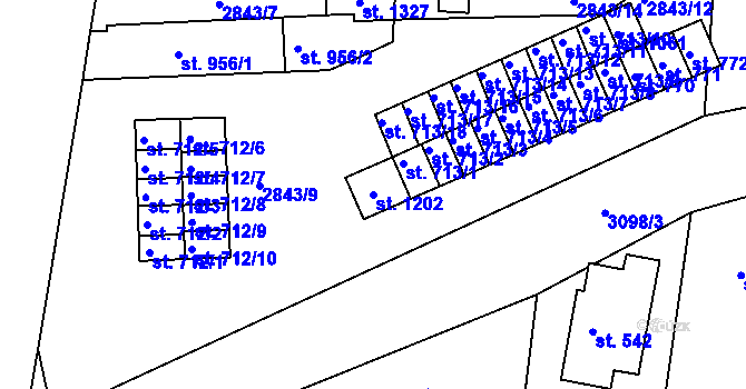 Parcela st. 1202 v KÚ Toužim, Katastrální mapa