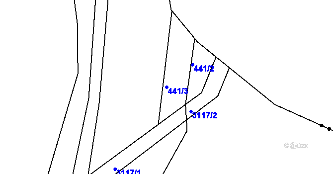 Parcela st. 441/3 v KÚ Toužim, Katastrální mapa