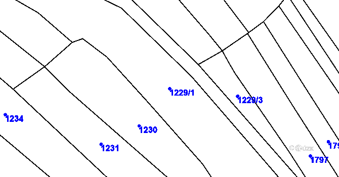 Parcela st. 1229/1 v KÚ Traplice, Katastrální mapa