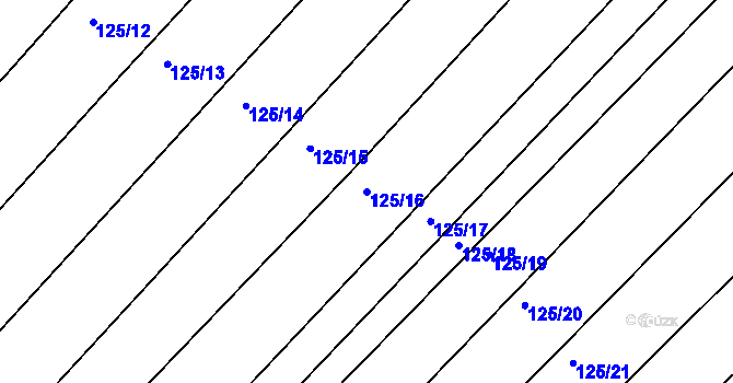 Parcela st. 125/16 v KÚ Traplice, Katastrální mapa