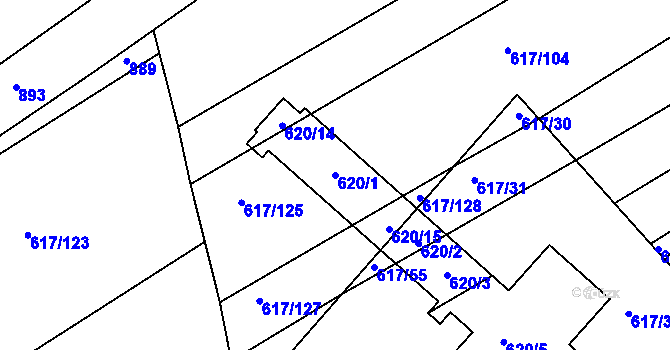 Parcela st. 620/1 v KÚ Trboušany, Katastrální mapa