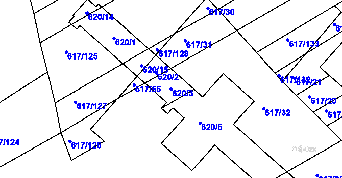 Parcela st. 620/3 v KÚ Trboušany, Katastrální mapa