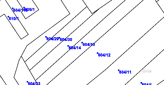 Parcela st. 604/13 v KÚ Trboušany, Katastrální mapa
