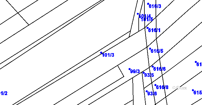 Parcela st. 101/3 v KÚ Trboušany, Katastrální mapa