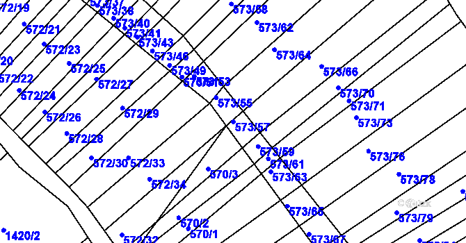 Parcela st. 573/57 v KÚ Trboušany, Katastrální mapa