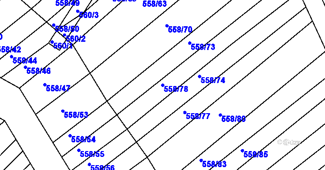 Parcela st. 558/78 v KÚ Trboušany, Katastrální mapa