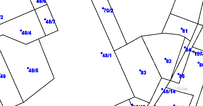 Parcela st. 48/1 v KÚ Trhové Dušníky, Katastrální mapa