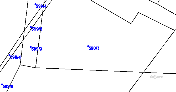Parcela st. 590/3 v KÚ Trhové Dušníky, Katastrální mapa