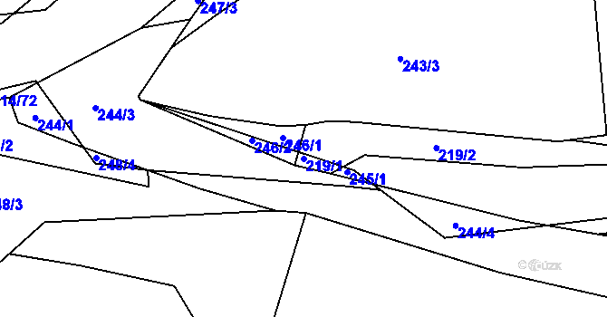 Parcela st. 219/1 v KÚ Trhové Dušníky, Katastrální mapa