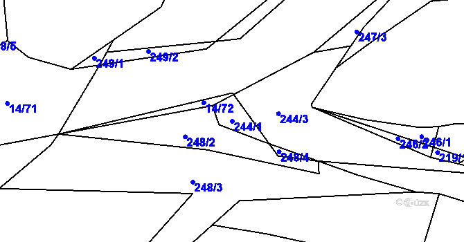Parcela st. 244/1 v KÚ Trhové Dušníky, Katastrální mapa
