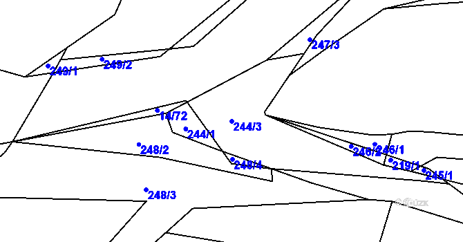Parcela st. 244/3 v KÚ Trhové Dušníky, Katastrální mapa