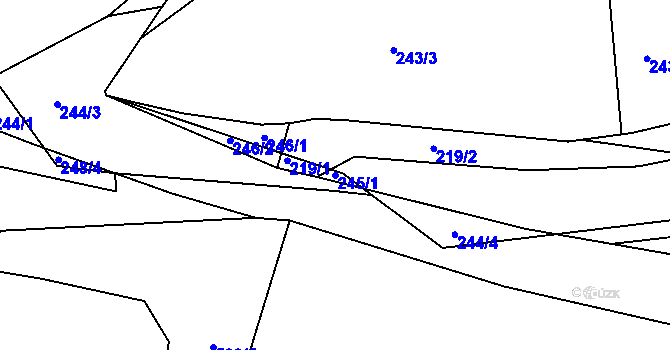 Parcela st. 245/1 v KÚ Trhové Dušníky, Katastrální mapa