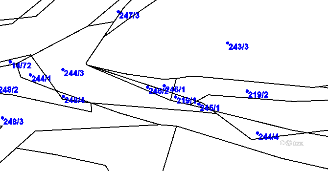 Parcela st. 246/1 v KÚ Trhové Dušníky, Katastrální mapa