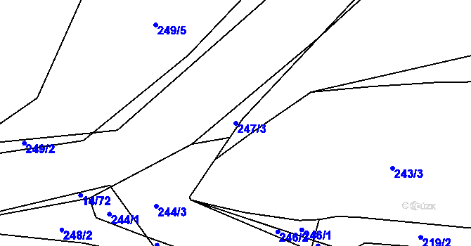 Parcela st. 247/3 v KÚ Trhové Dušníky, Katastrální mapa