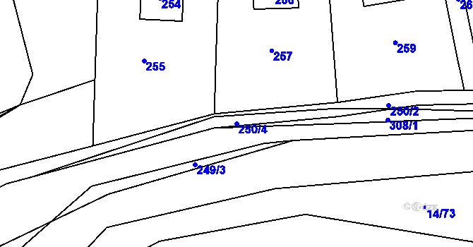 Parcela st. 250/4 v KÚ Trhové Dušníky, Katastrální mapa