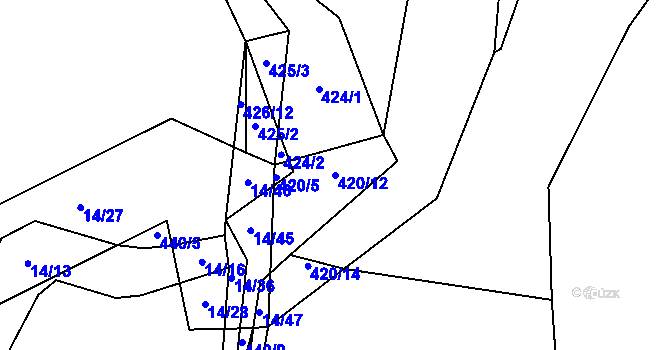 Parcela st. 420/12 v KÚ Trhové Dušníky, Katastrální mapa