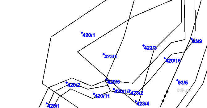Parcela st. 423/1 v KÚ Trhové Dušníky, Katastrální mapa