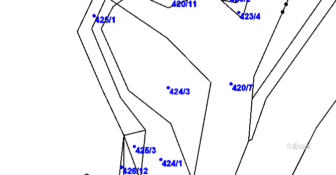 Parcela st. 424/3 v KÚ Trhové Dušníky, Katastrální mapa