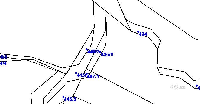 Parcela st. 446/1 v KÚ Trhové Dušníky, Katastrální mapa